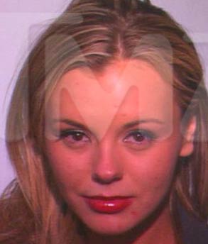 Bree Olson arrested for DUI