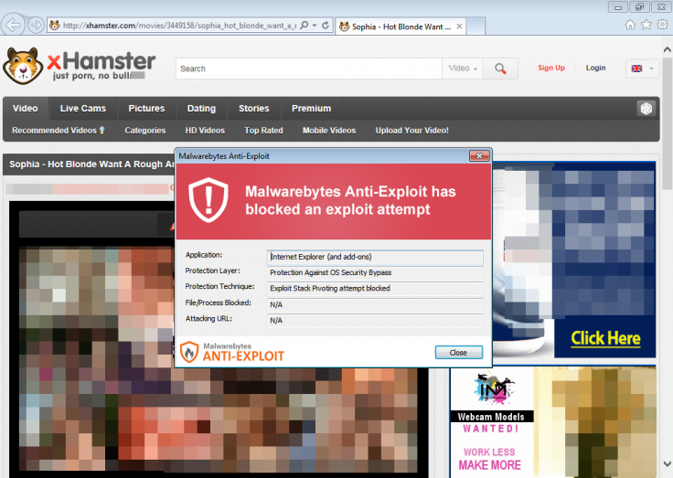 xHamster Dogged By Malware Problems